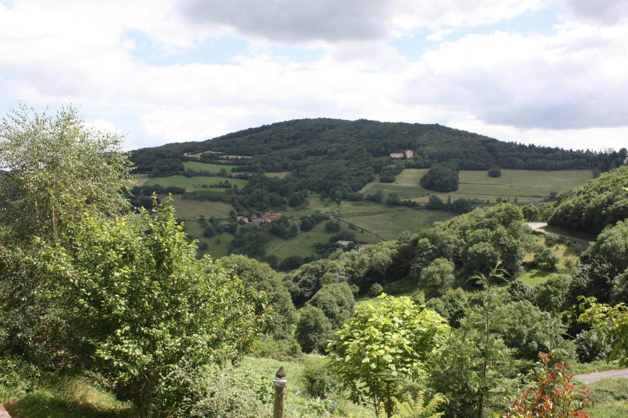 Gites Des Esselards Yzeron Экстерьер фото